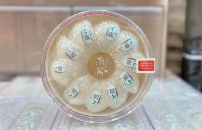 新抚燕窝回收